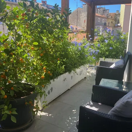 Apartment In Center With Parking *